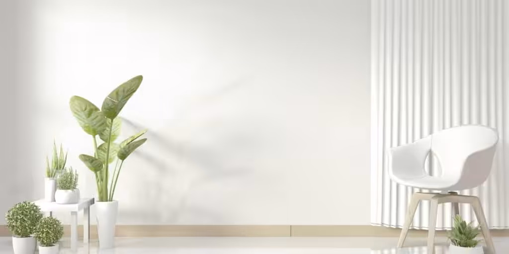 Professional House Cleaning Services in Rocklin, CA