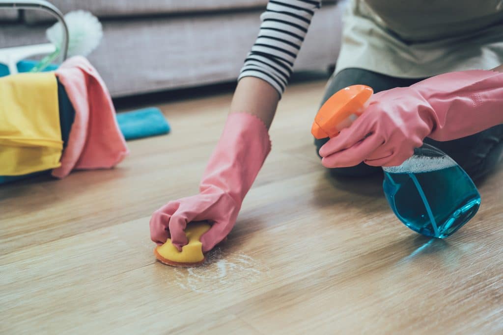 Home Cleaning Services