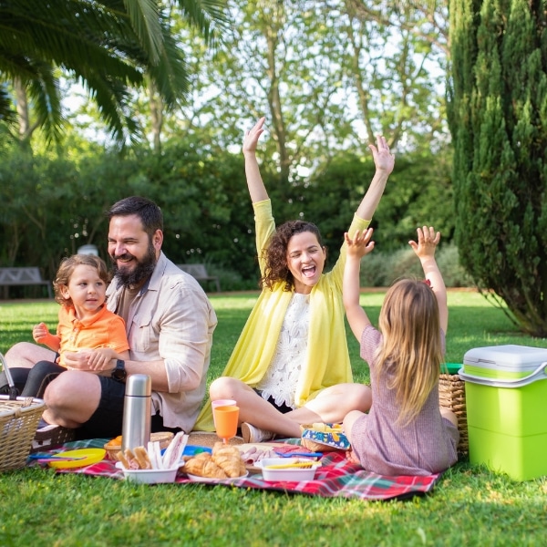 A family enjoying a picnic in Lincoln, CA