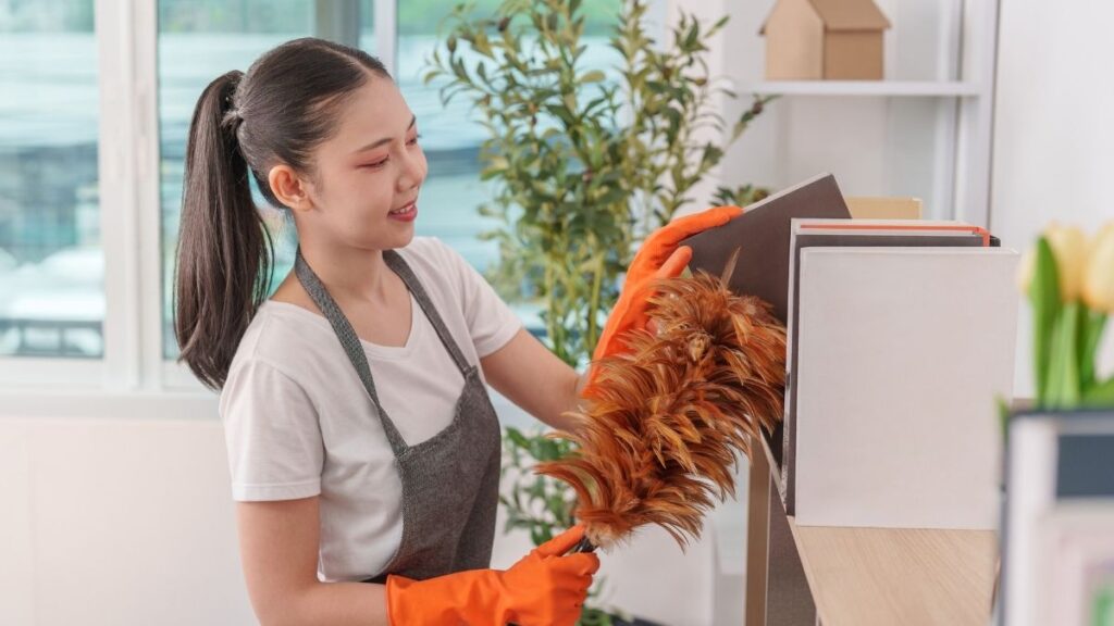 Does Your Lincoln Home Need Maintenance or Catch-Up Cleaning?